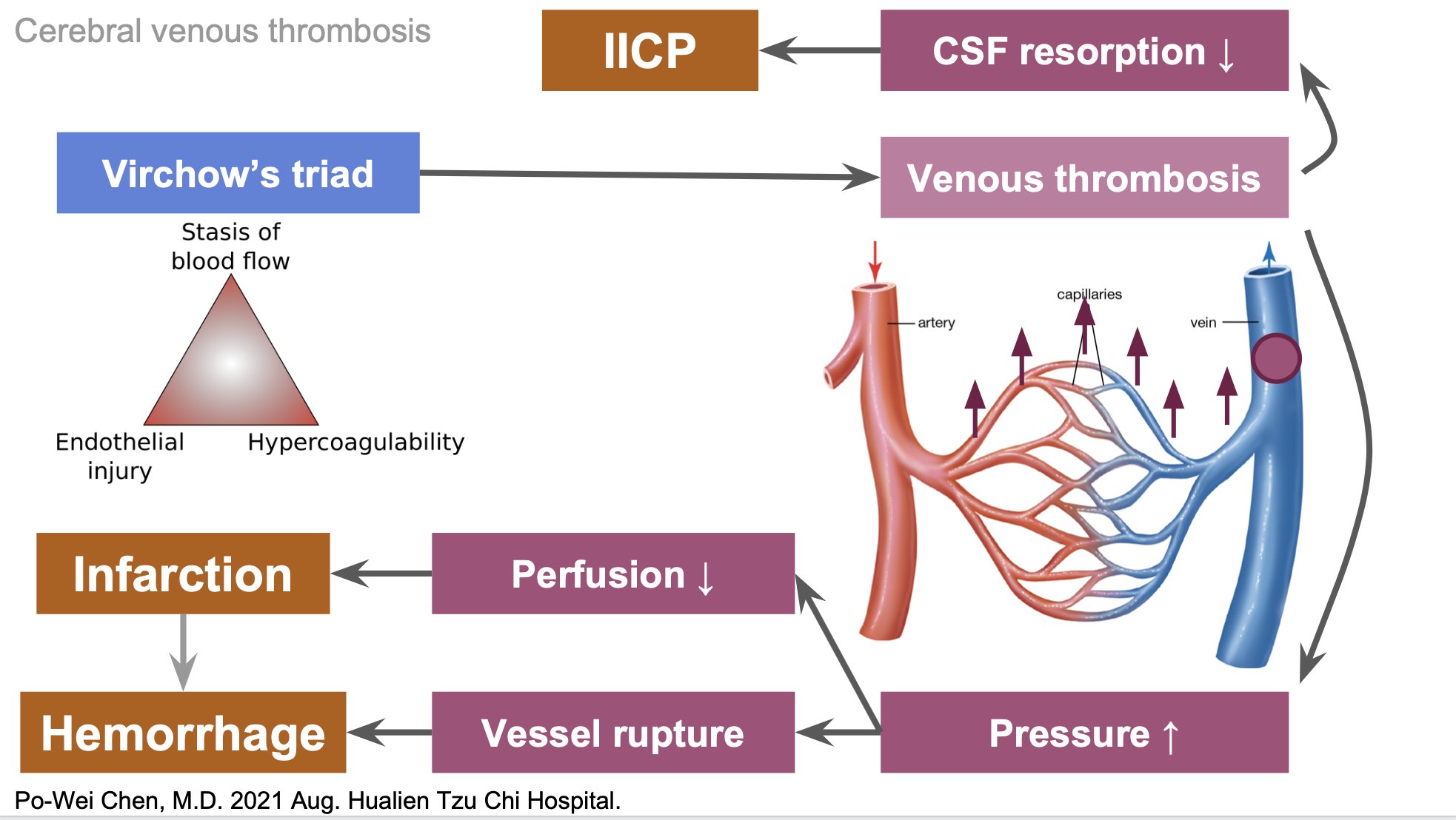 藏在腦出血背後的腦栓塞 - Survey of hypercoagubility, Cerebral venous thrombosis, and Protein S deficiency