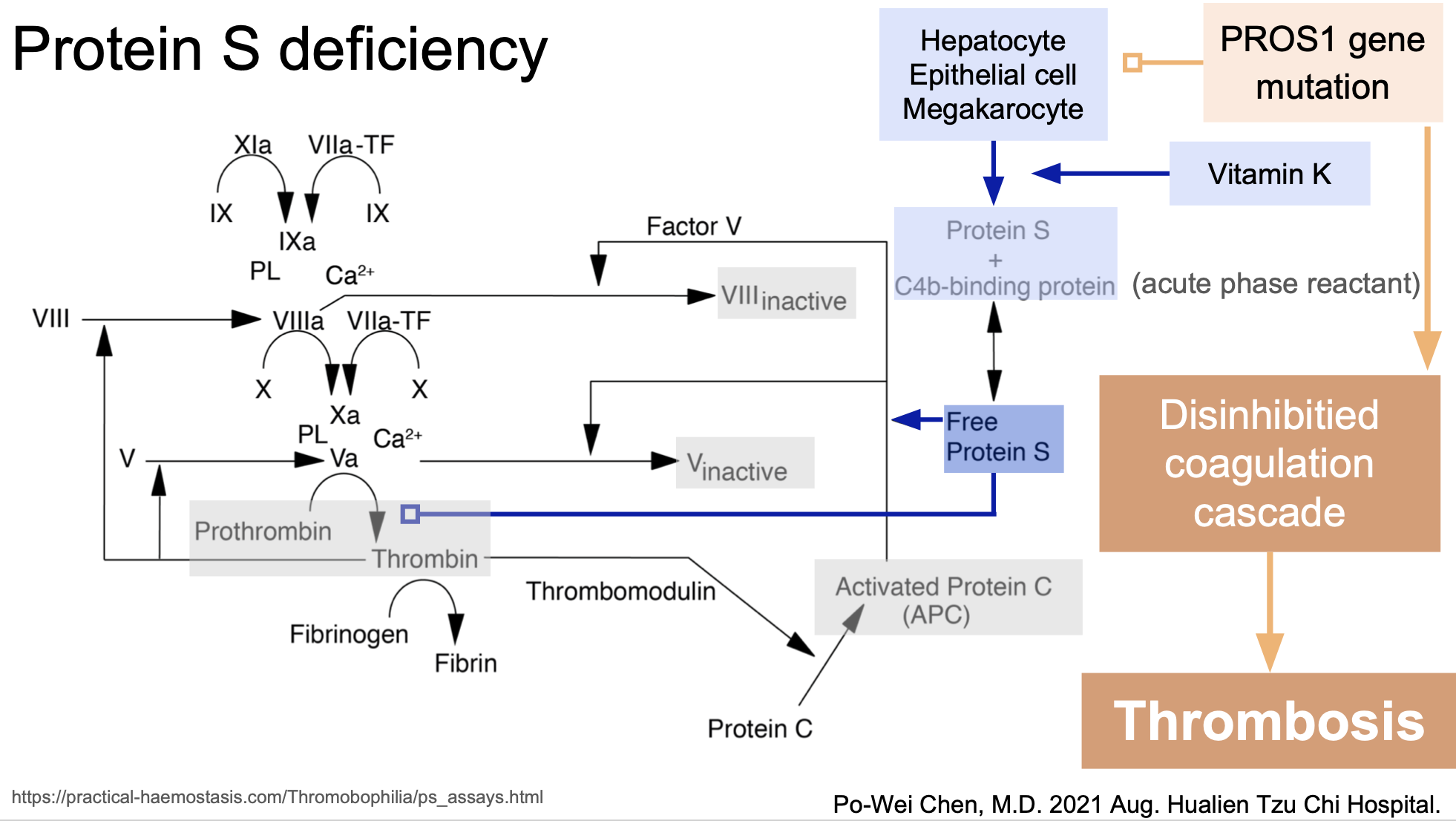 藏在腦出血背後的腦栓塞 - Survey of hypercoagubility, Cerebral venous thrombosis, and Protein S deficiency